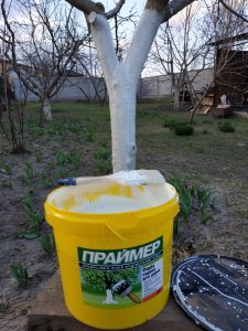 Фарба садова для дерев